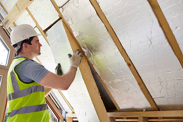 Best Garage Insulation Installation  in Madison, IN